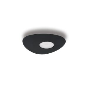 Nowodvorski Plafonjera ORGANIC BLACK I