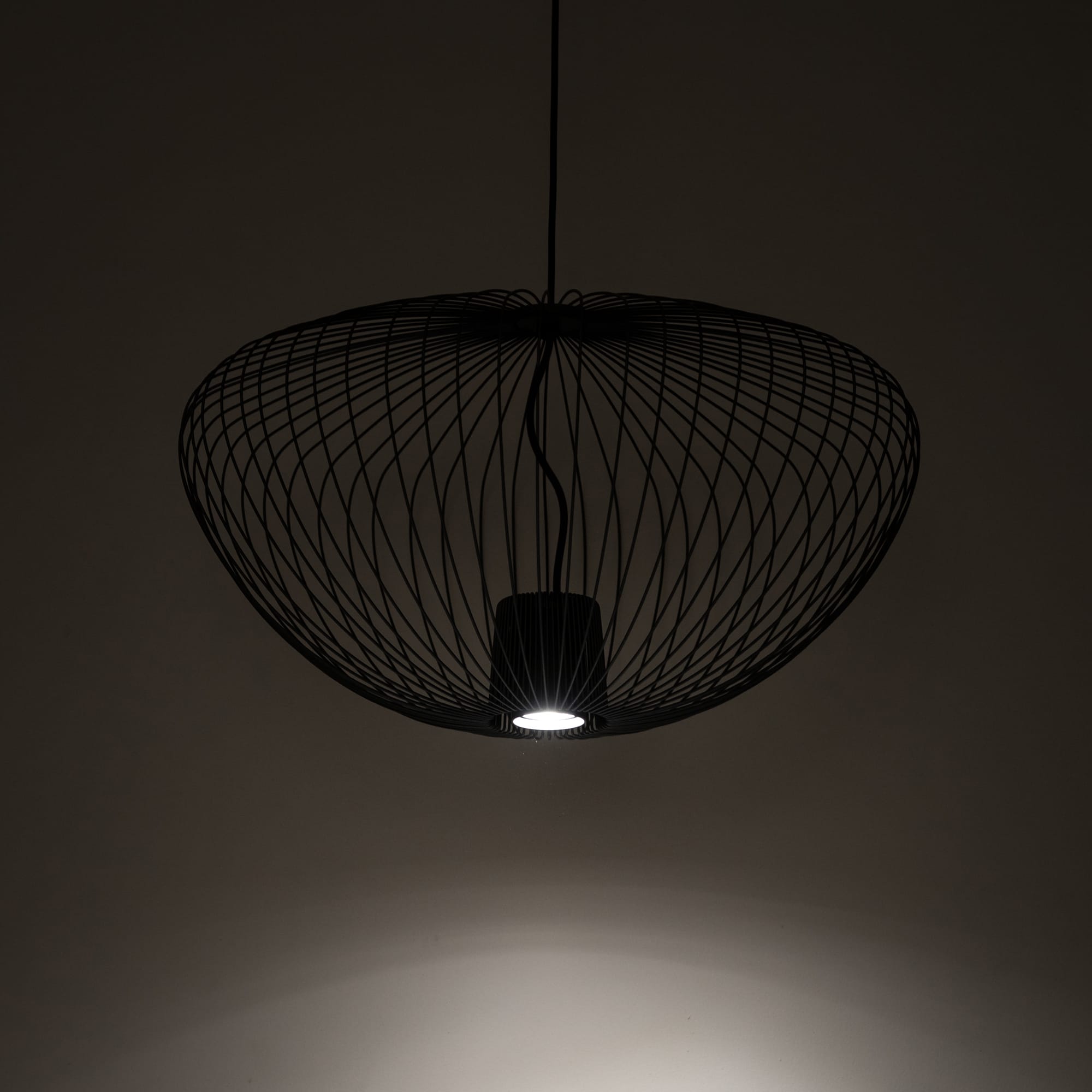 PUMPKIN M UMBRA GRAY - Image 3