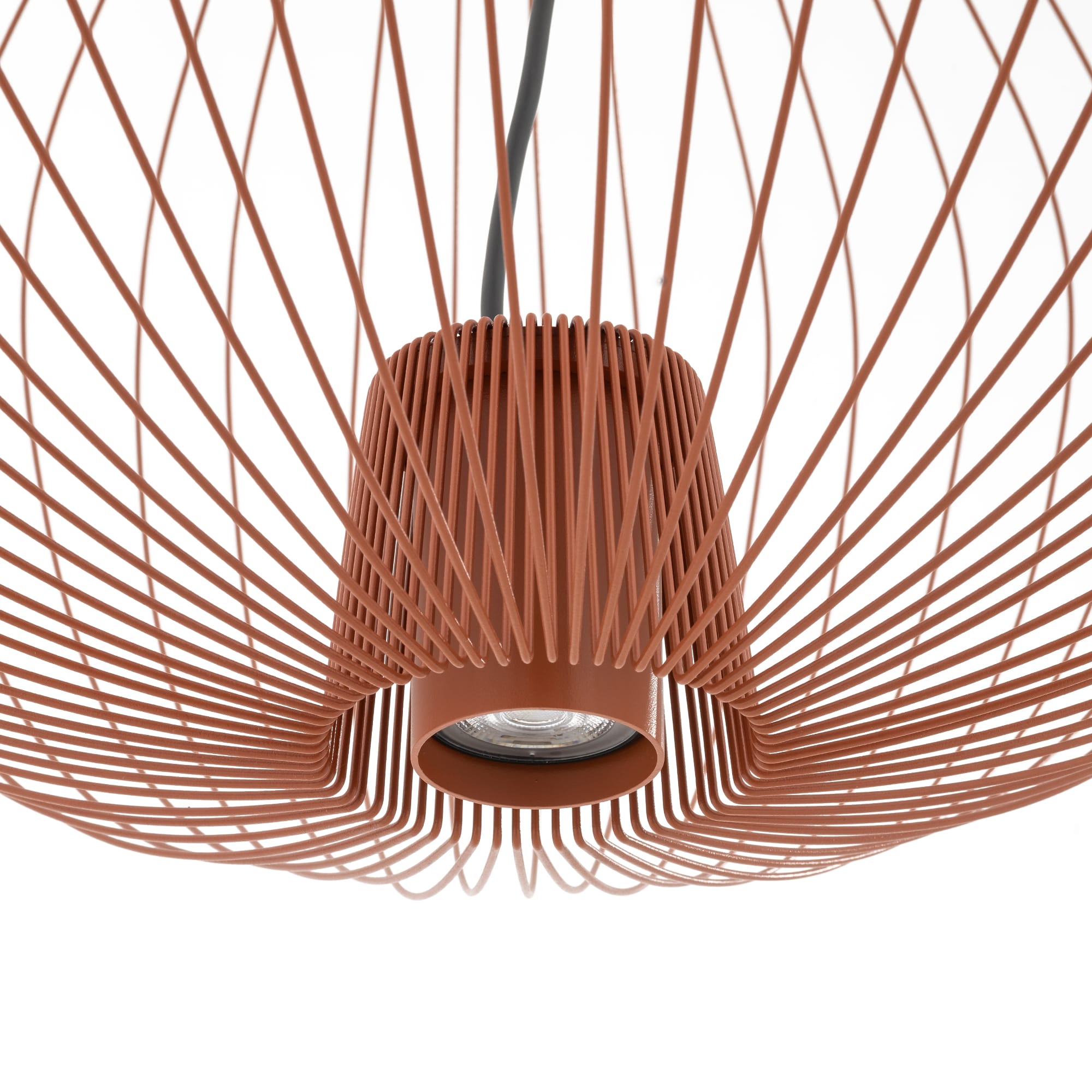PUMPKIN L TERRACOTTA - Image 8