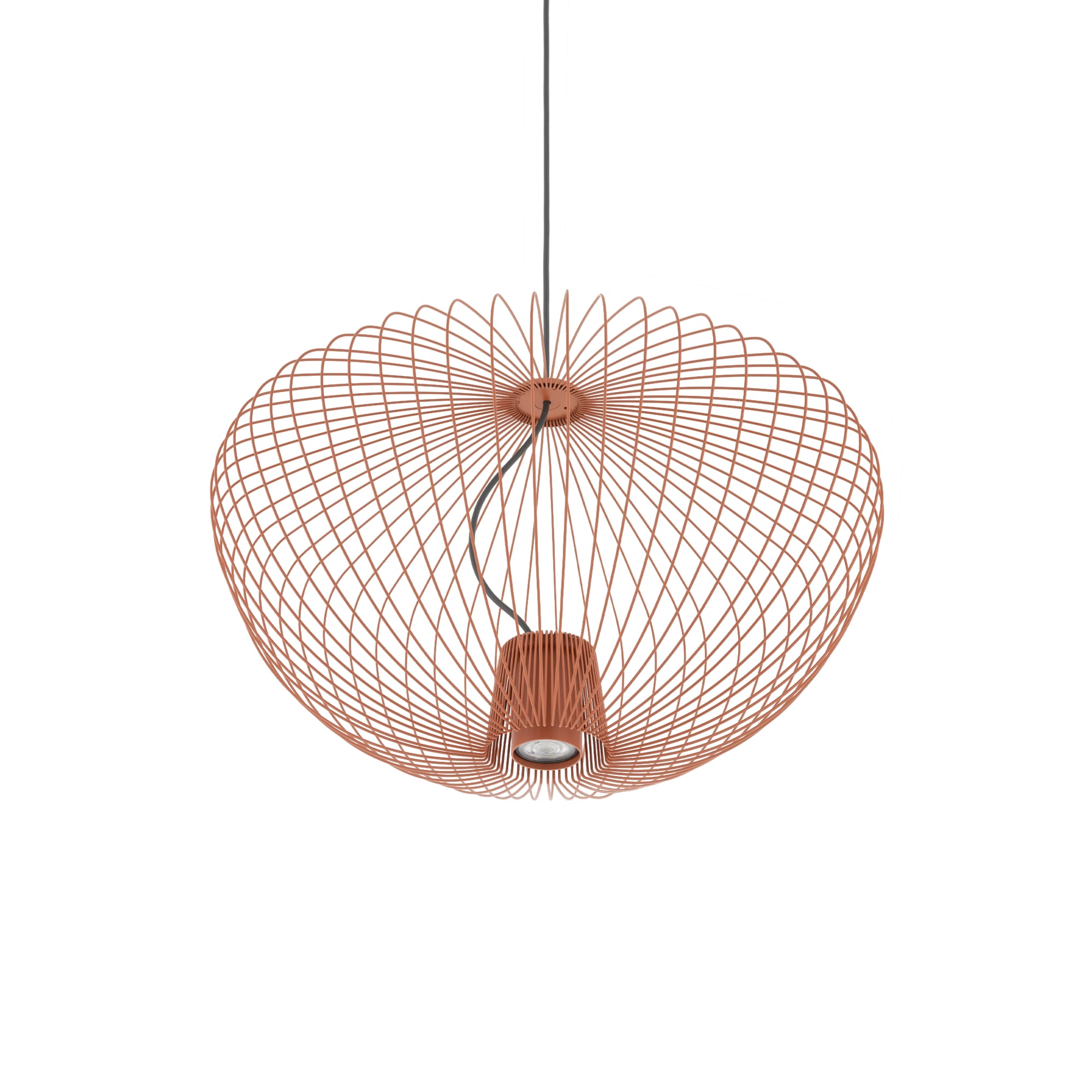 PUMPKIN M TERRACOTTA - Image 5