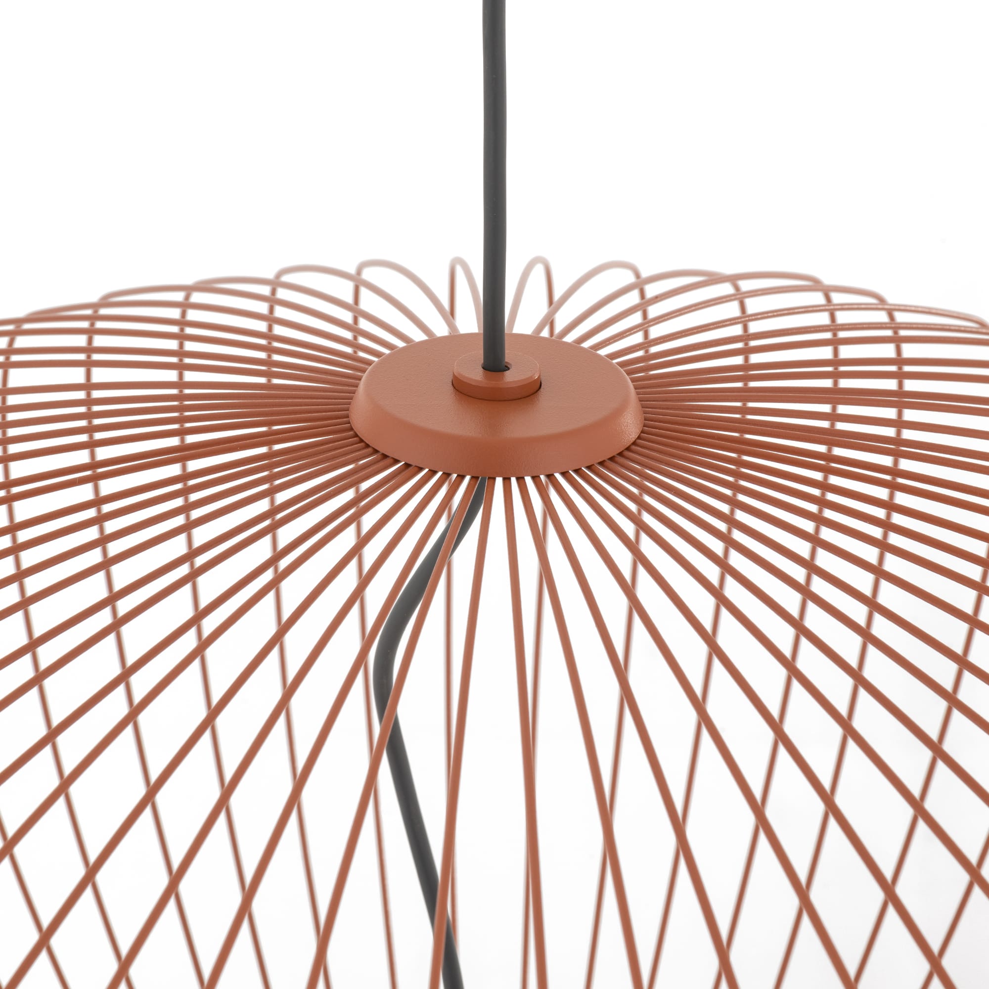PUMPKIN M TERRACOTTA - Image 6