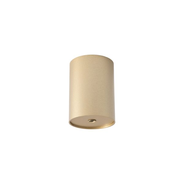 CAMELEON CANOPY E BRUSHED GOLD
