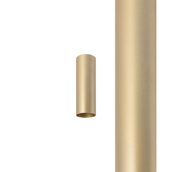 CAMELEON FOURTY BRUSHED GOLD S